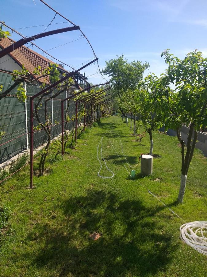Cabanele Deltei Dunavăţu de Jos Exterior foto