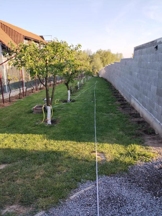 Cabanele Deltei Dunavăţu de Jos Exterior foto