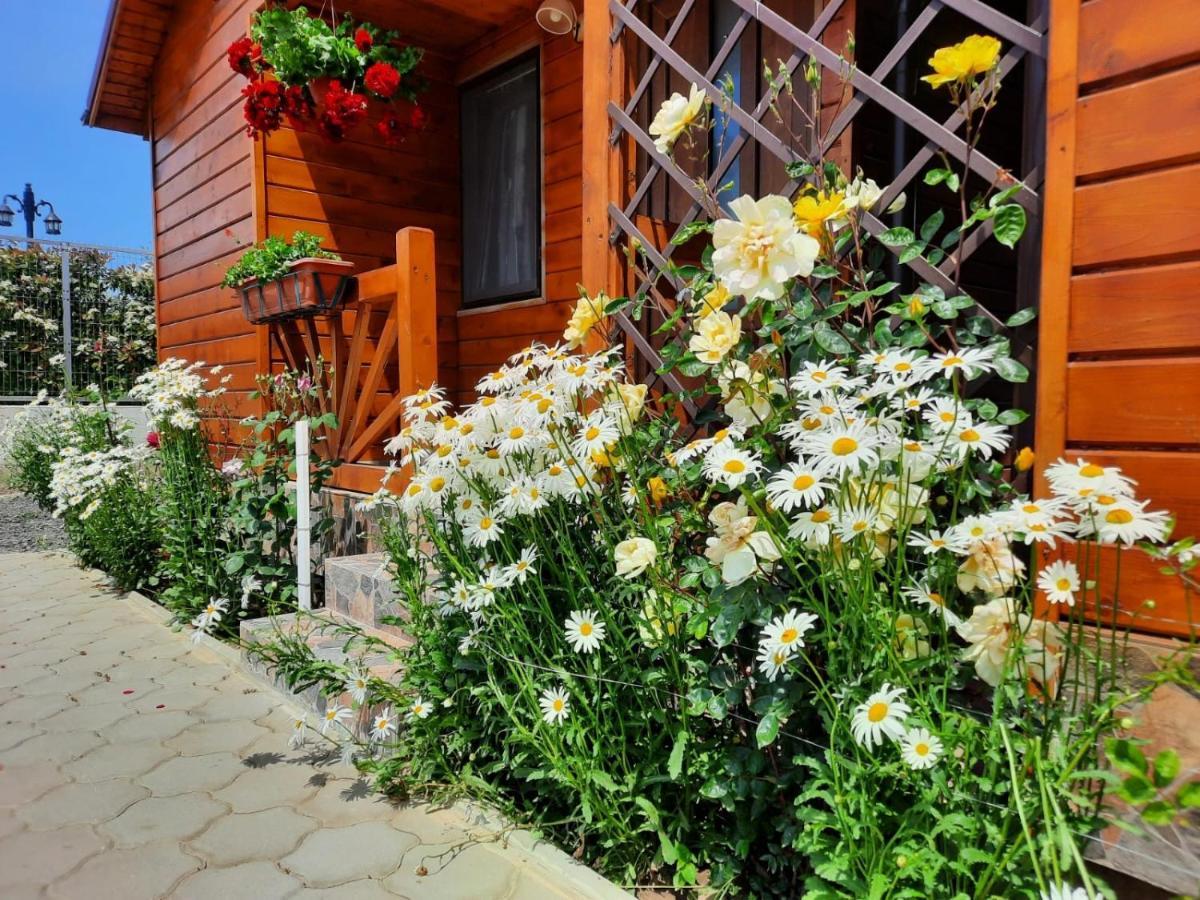 Cabanele Deltei Dunavăţu de Jos Exterior foto